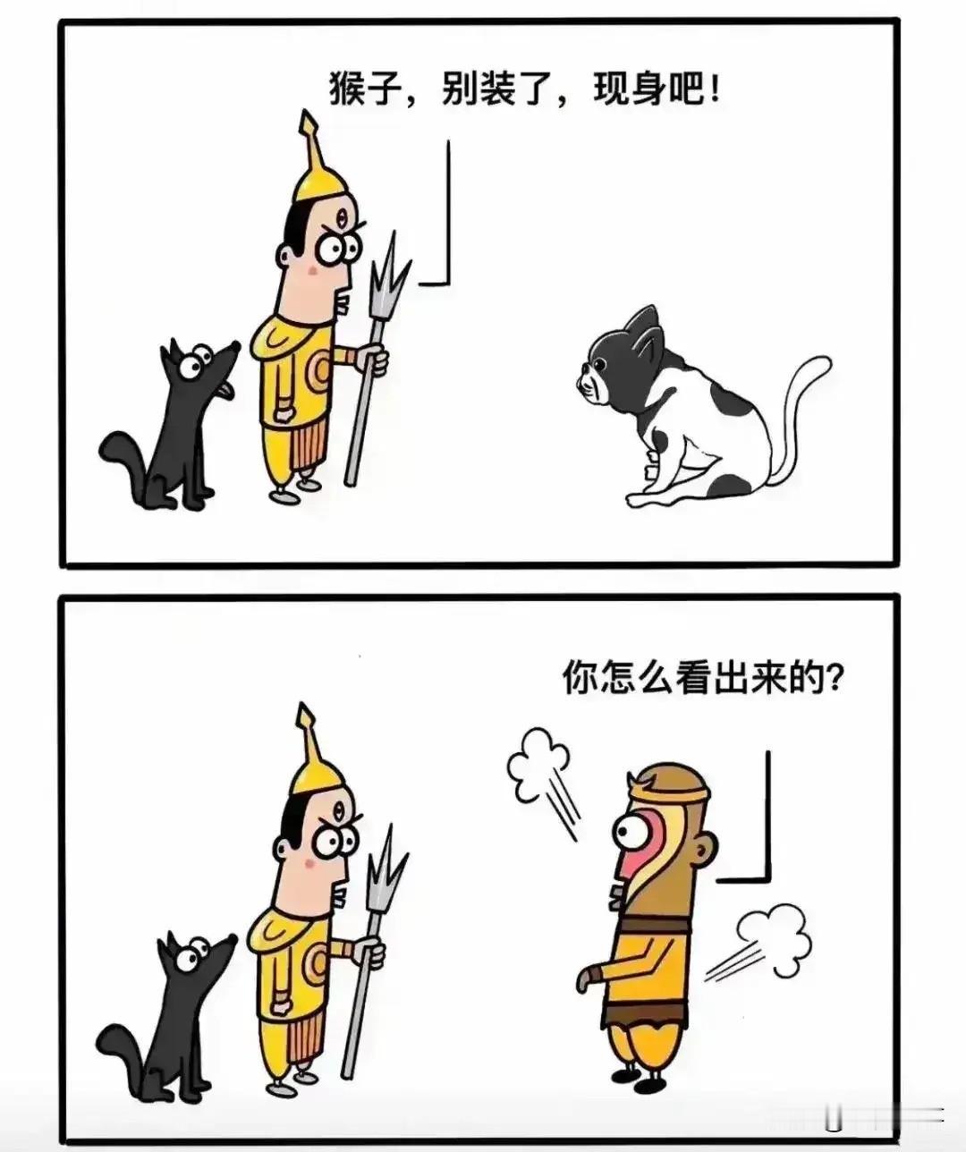 怎么看出来的？？？