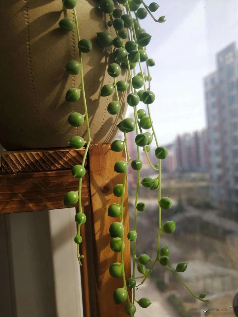 我妈这辈子把钱看得特别紧，对我们小孩这样，对我爸也一样。小时候不管是要零花钱