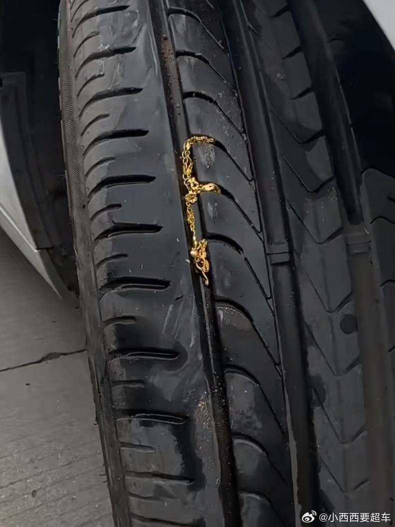 这种如果捡了被别人拍视频，就会被说是调包了，要求捡到的人还一条真金的！...
