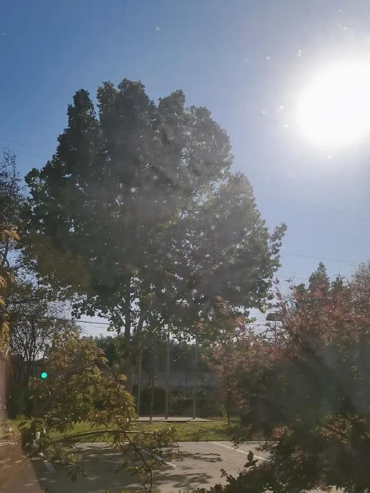 今天天气真好，太阳晒的人身上暖烘烘的，让突然降温以来的阴冷潮湿的氛围，一扫