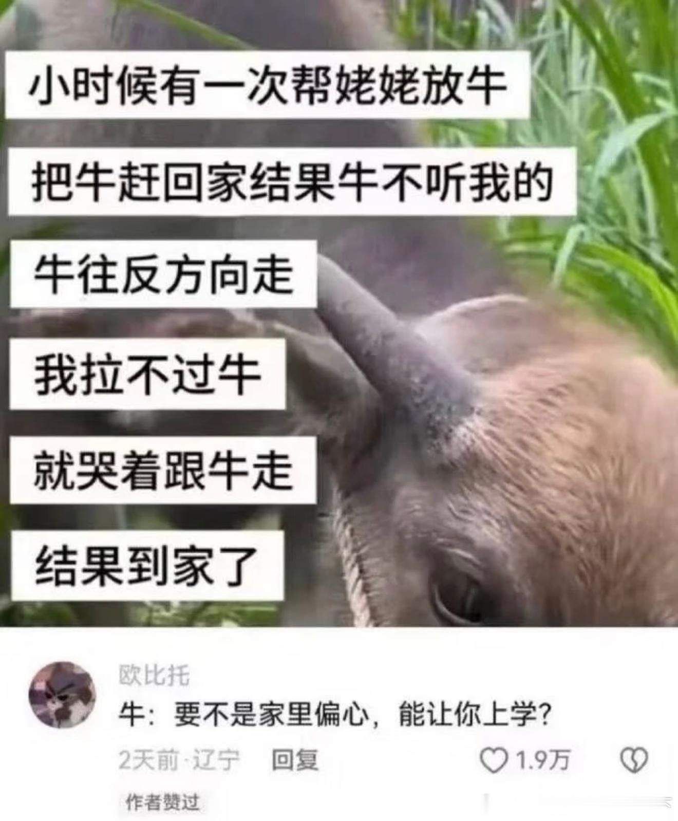 7098牛已无语​​​