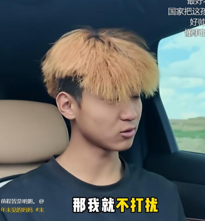 何必再指责这位母亲呢？虽然妈妈不同意和儿子相见，但是对于搬瓜少年马同学，这样也