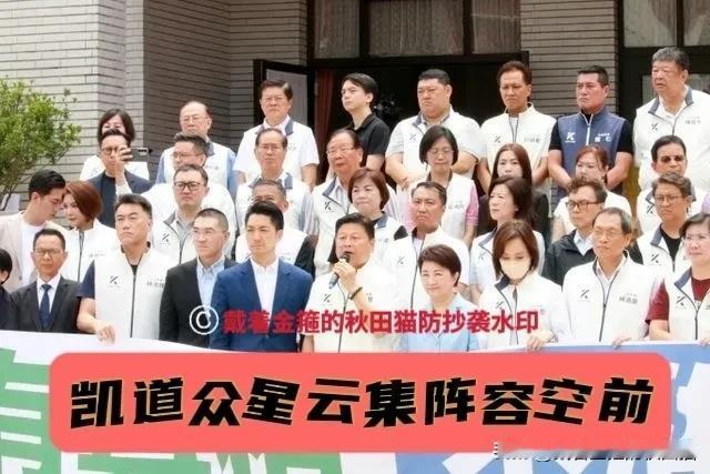 725凯道阵容完整盘点！蓝白大咖几乎全员到齐，今夜凯道众星云集、阵容空前，为岛内