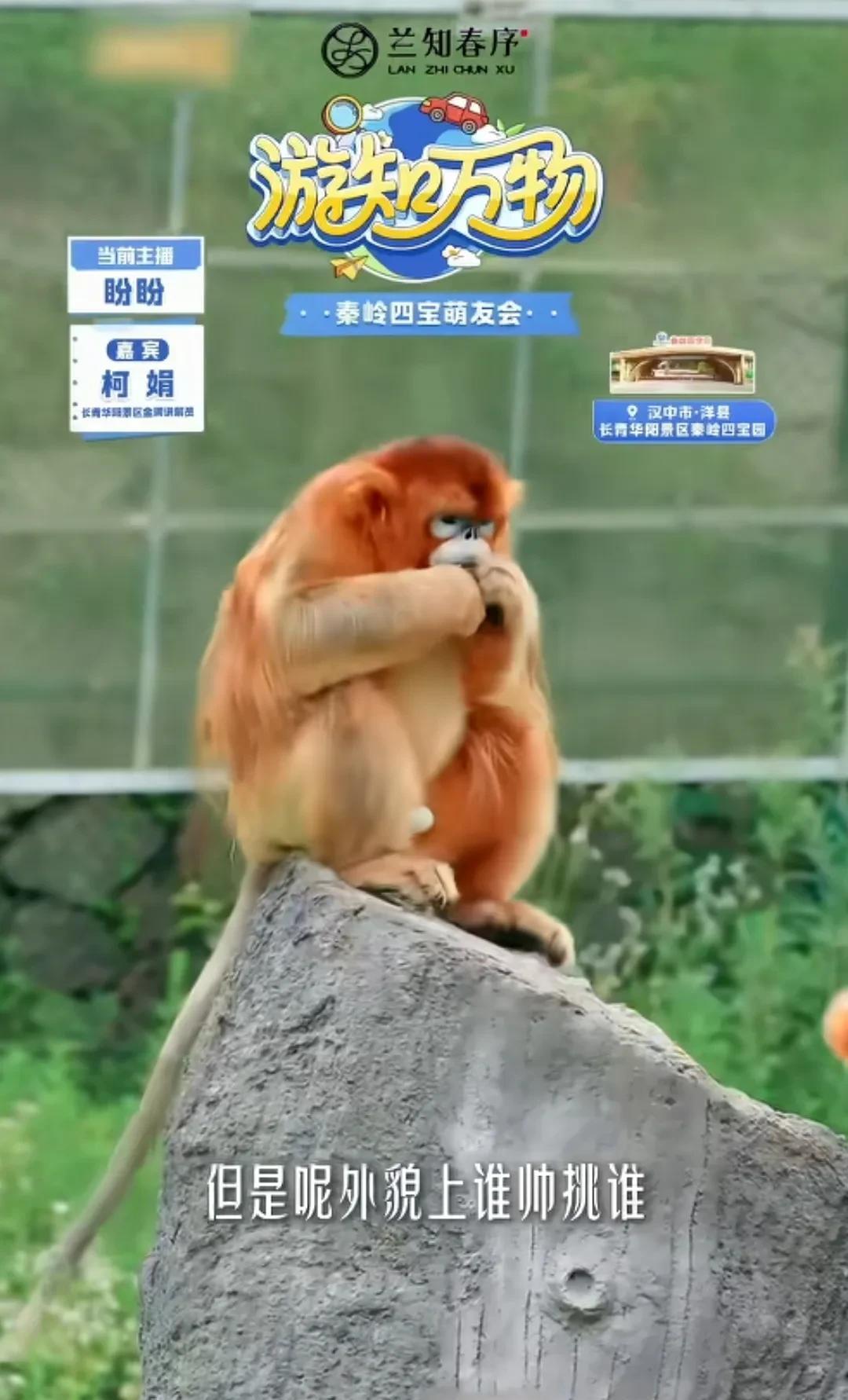 兰知春序这两天休息，宇辉二胎以后感觉主播有点不够用啊，应该招几个主播了，与辉同行
