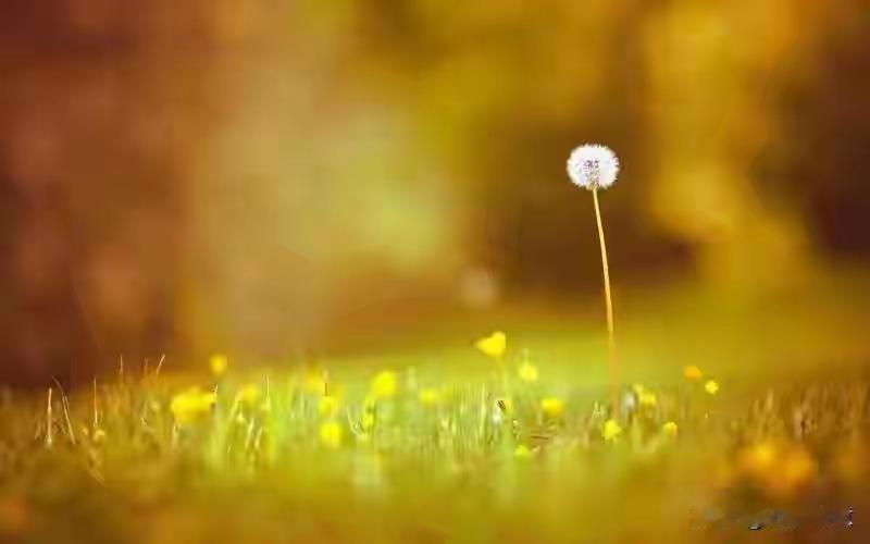 两性关系：60岁女人深夜承认！放不下的三个秘密，男人根本不懂这篇标题引发了许多