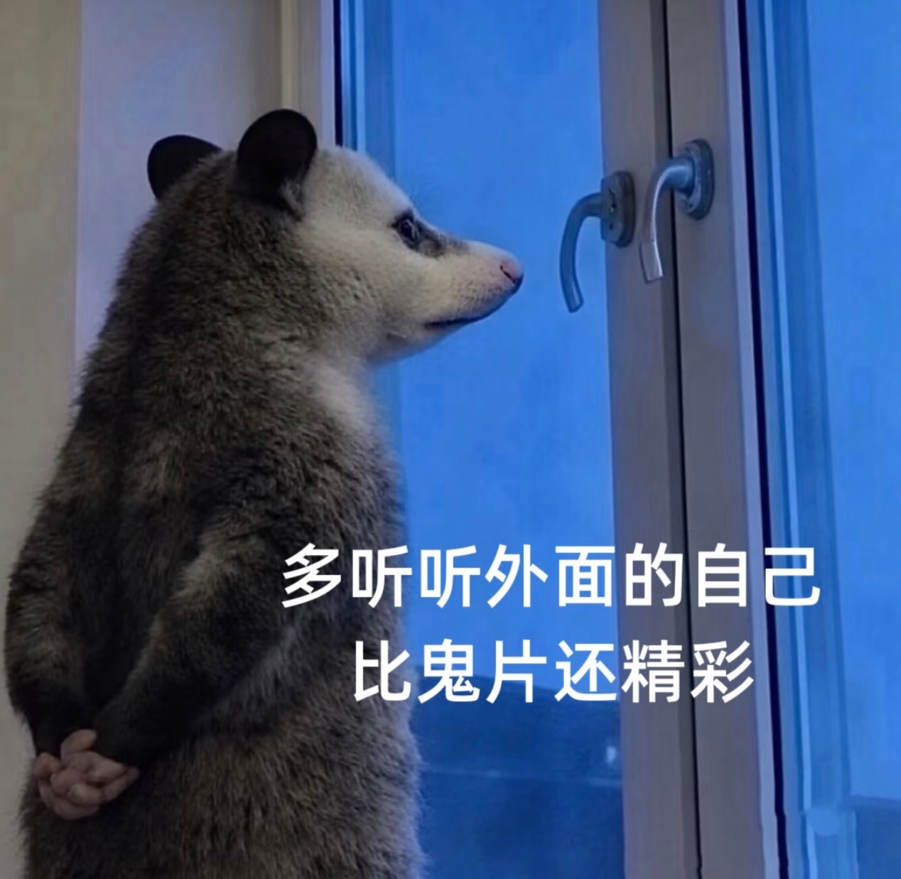 2025年金九封面刘亦菲粉丝大大方方放出来销量截图，毫不避讳提及销量排名情况，评