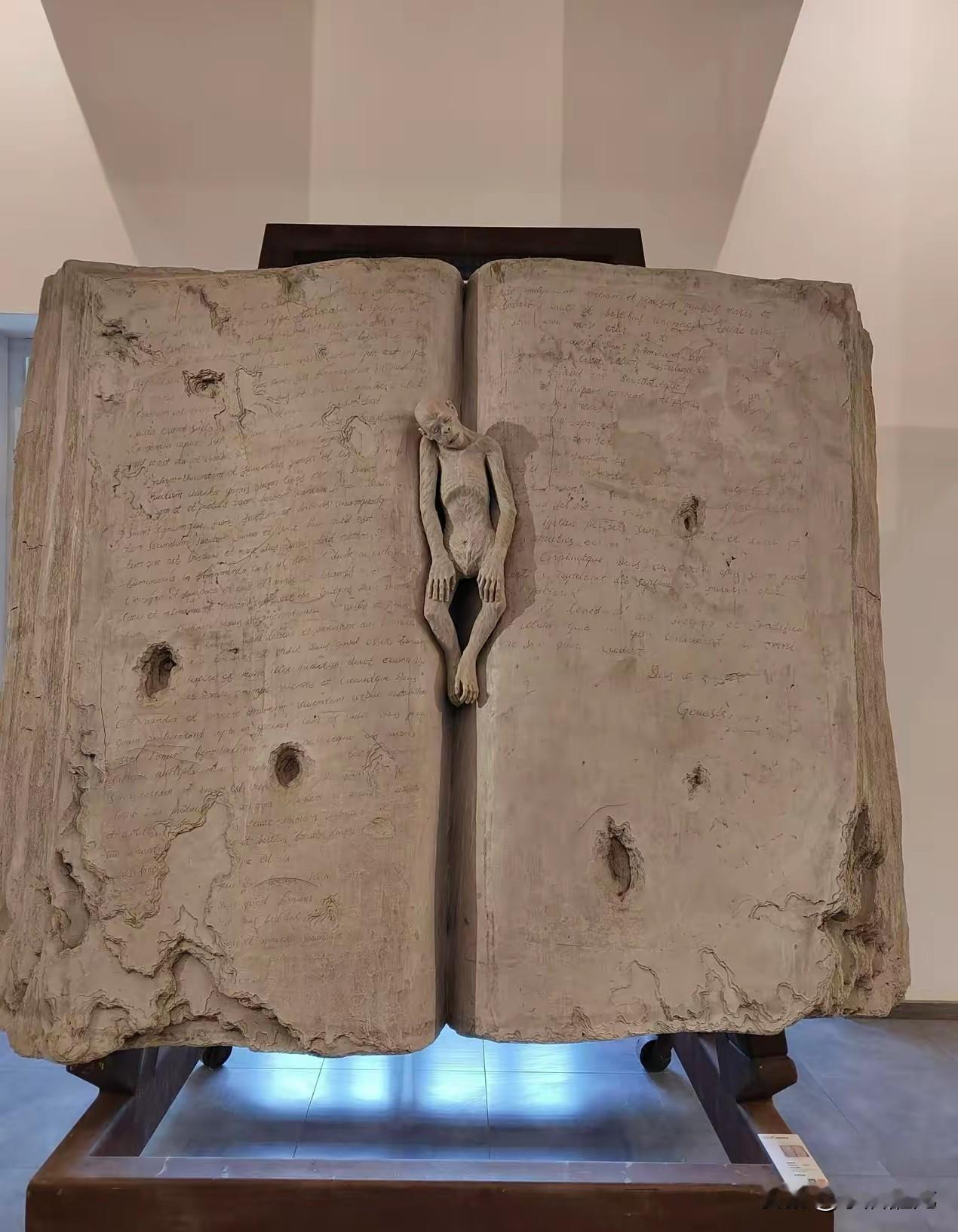 大学生如果四年一张证都没拿到，那就太可惜了！以下三个证书是国家认可的、含金量高的