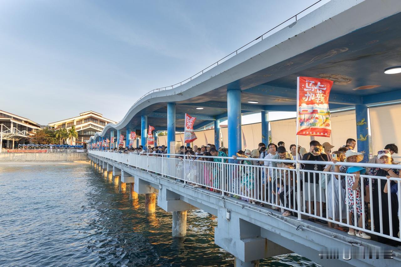 今天都初五了，终于腾出空来把西岛之行安排上。查了一下之后下午两三点再过去，完