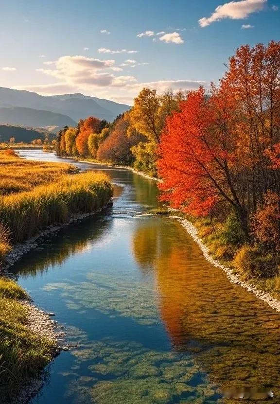 复旦大学教授一段很现实的话：情人关系中，只要女人不谈钱，男人只要身体上得到