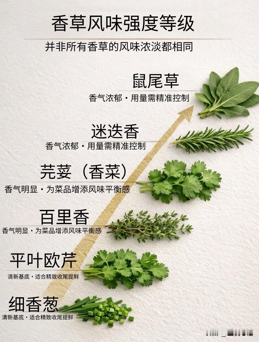 救命！香草才是做菜的隐藏王者以前总觉得香草是西餐专属，可有可无？大错特错！