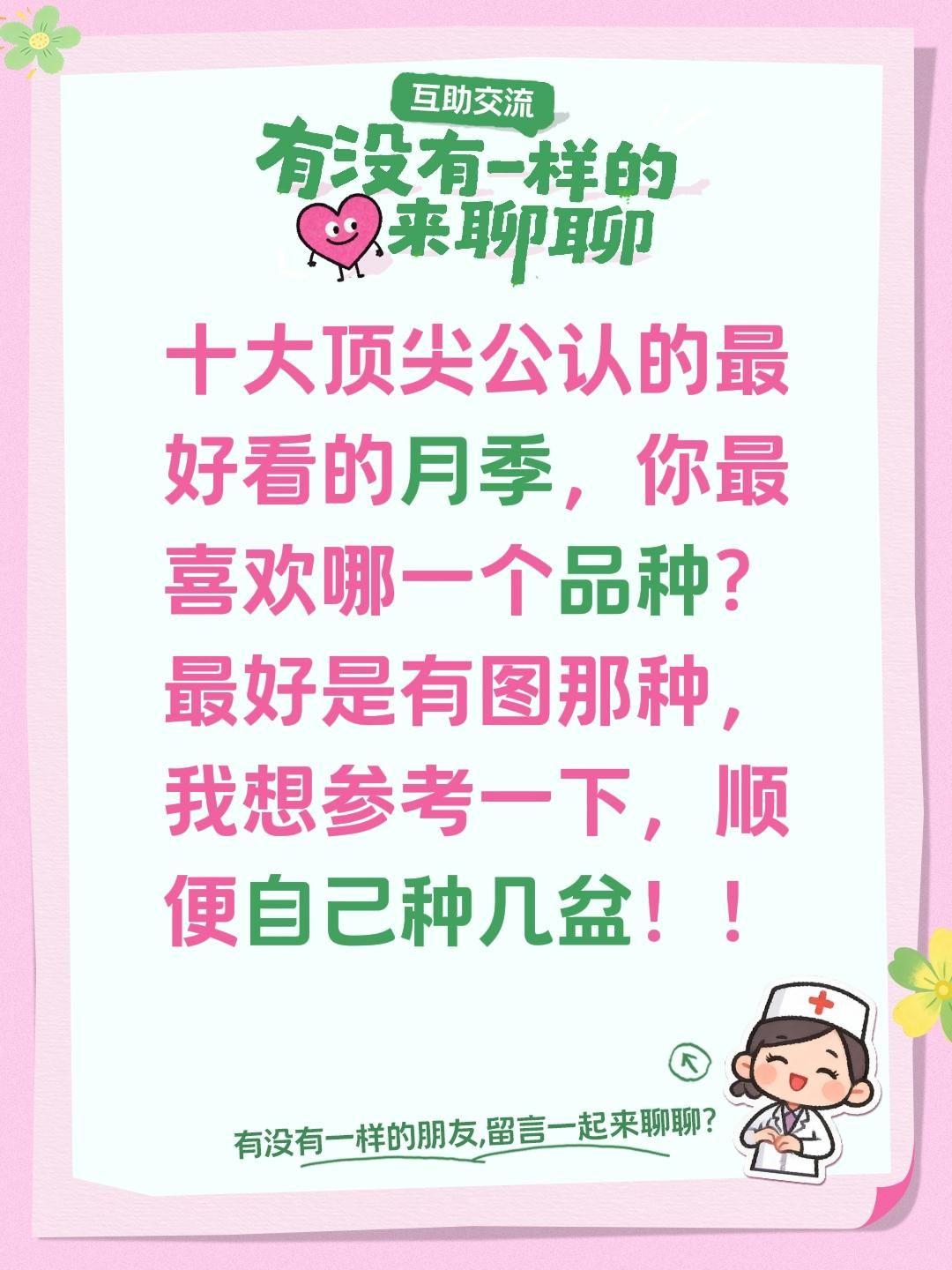 十大顶尖公认的最好看的月季，你最喜欢哪一个品种？最好是有图那种，我想参考一下，顺
