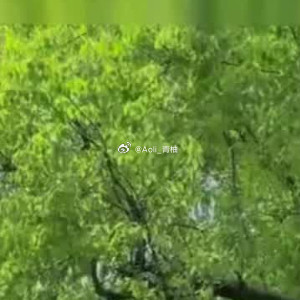 正能量人可以疲惫但不可以暗淡，希望在无数个选择中走向自己，也能无条件地爱上每个