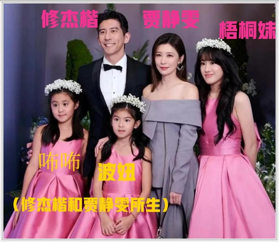 贾静雯女儿梧桐妹才20岁，从小到大的生活像过山车一样起伏不定。梧桐妹是贾静雯
