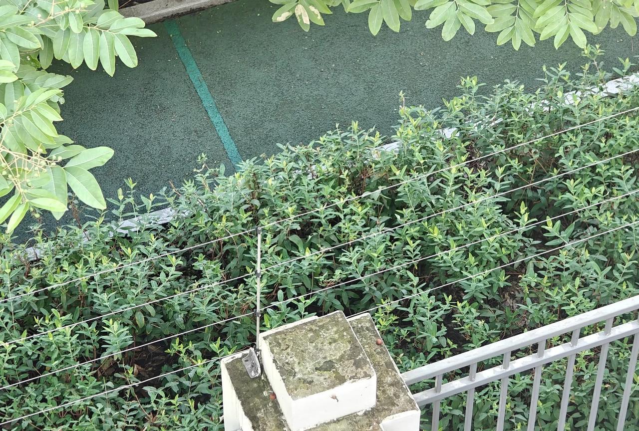 什么？这个围墙上的“电子脉冲围栏”也会电死人？