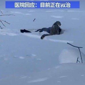 新疆阿勒泰可可托海国际滑雪场附近，最近出了件让人揪心又后怕的事儿——1月23号晚