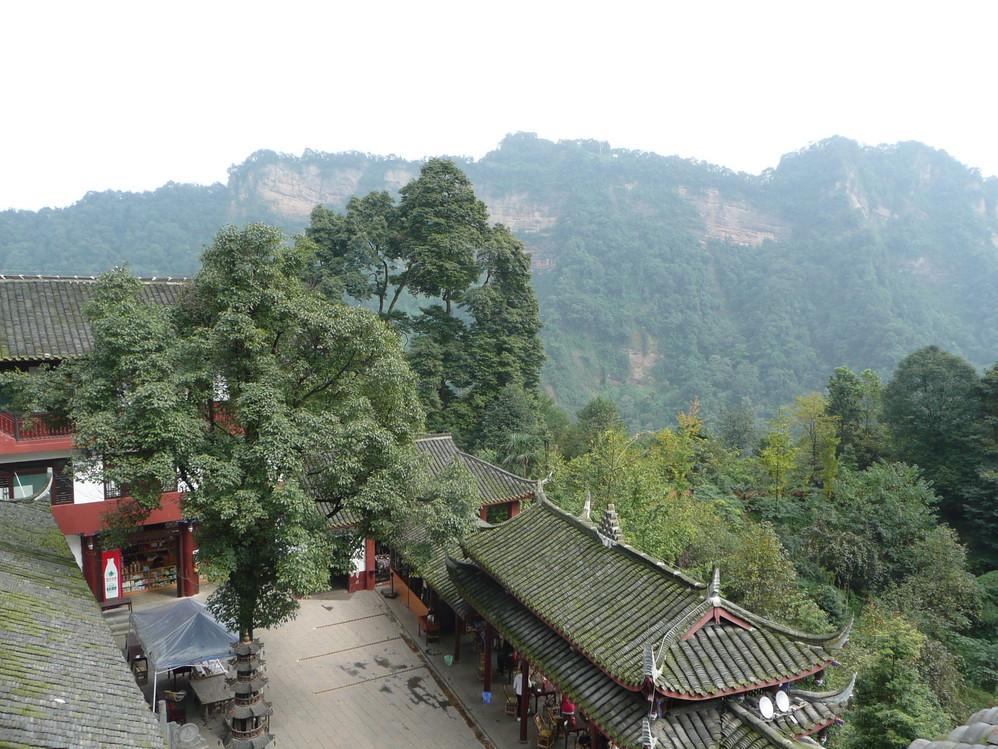 锚定科创股权，打破券商僵尸化困局。当前A股券商板块长期走势疲软，多数标的