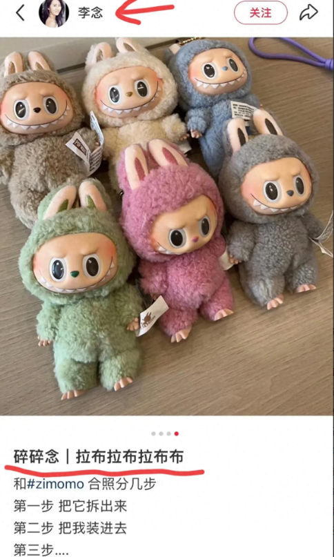 阔太李念的玩偶，一个能换一套房？网友：有钱人的快乐我不懂
