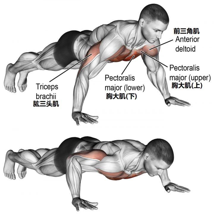 俯卧撑当然能练大胸肌，但有局限性首先并不是所有人都能做到能做到之后又不能满足