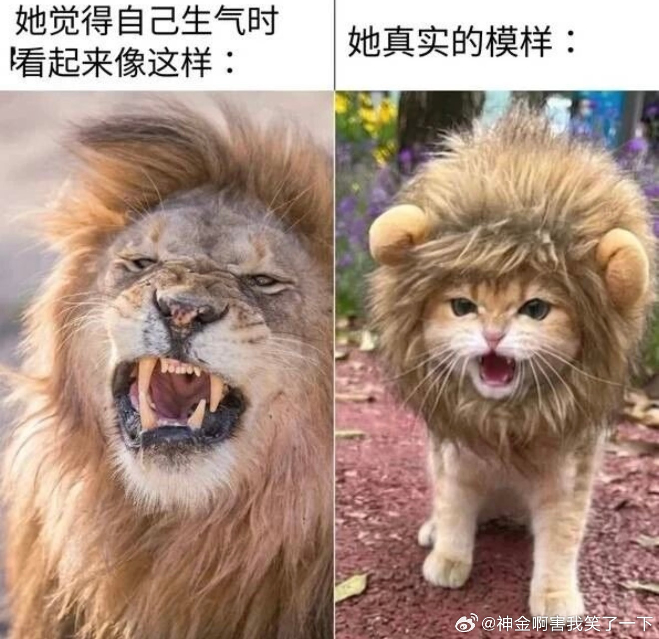 6479如果你爱一个人