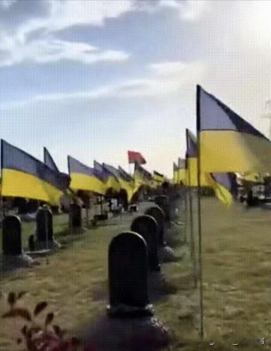 红军城战场清理完，照片一出来我后背发凉。阵亡乌军里十个人三个是外国人，守关键