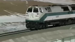 陈蓉晖小提琴独奏《天路》绕梁三晖,仙弦轻舞