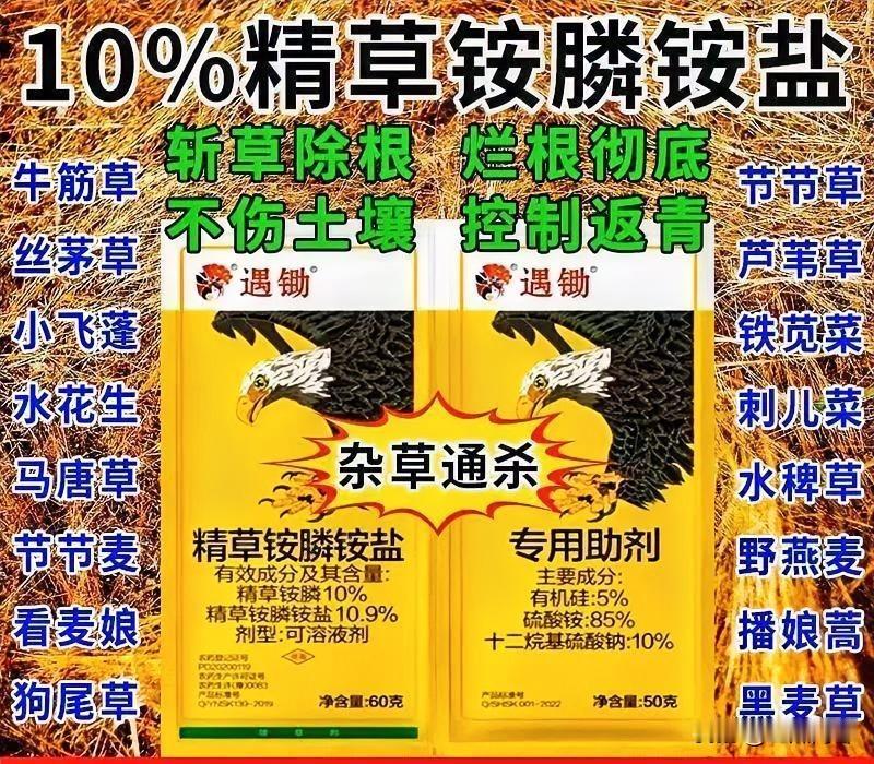 现在农村大量使用除草剂，这事儿挺有争议。有人觉得它是神器，我能理解。村里种地的大