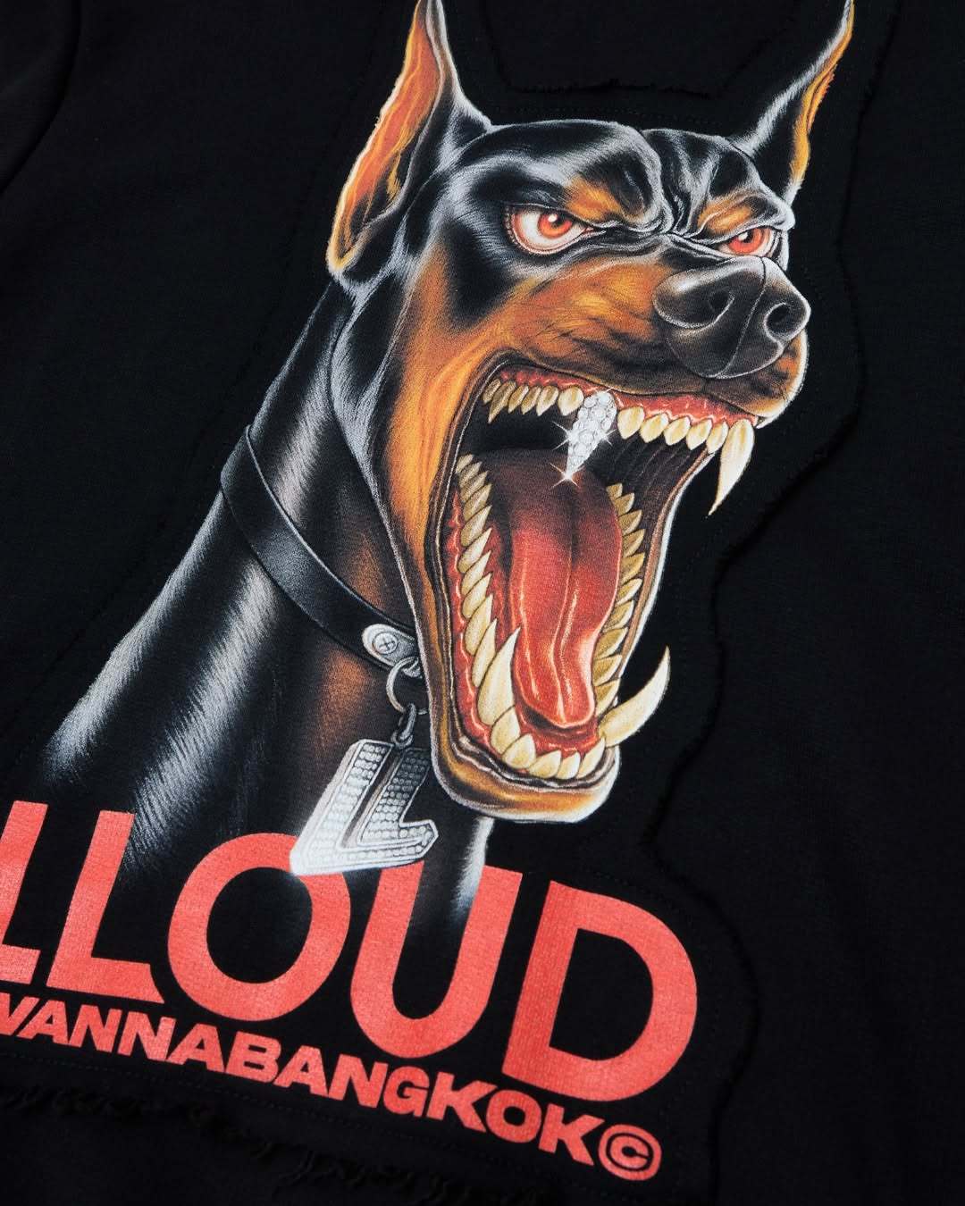 明天将出现在complex香港市集中的Lisa个人品牌LLOUD×IWANN