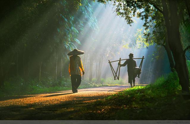 人生最高级的活法：不计较。人这一辈子，过得累不累，从来不是因为生活本身，而