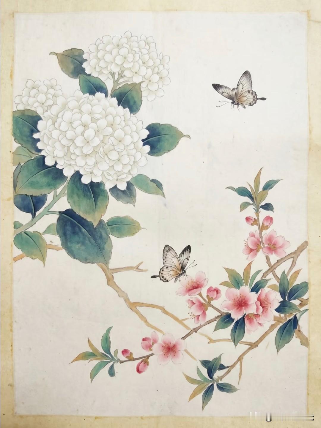 琼花凝素，桃花绽粉，蝶舞春风里。酌月绘国风插画分享国画琼花中式花卉画作