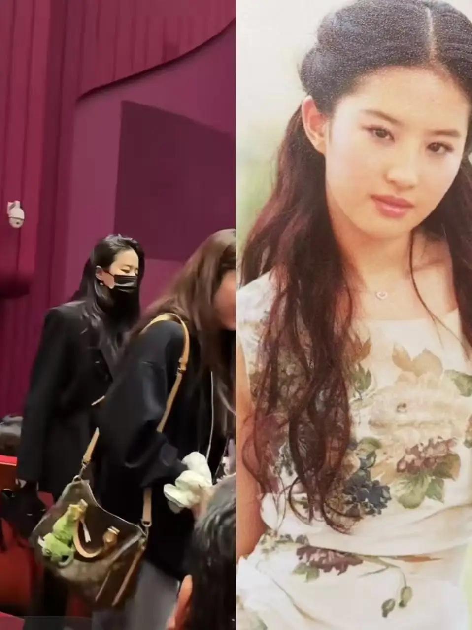 看到这张图片，我突然明白刘亦菲为什么还是单身了不是没有人馋她的身子，而是