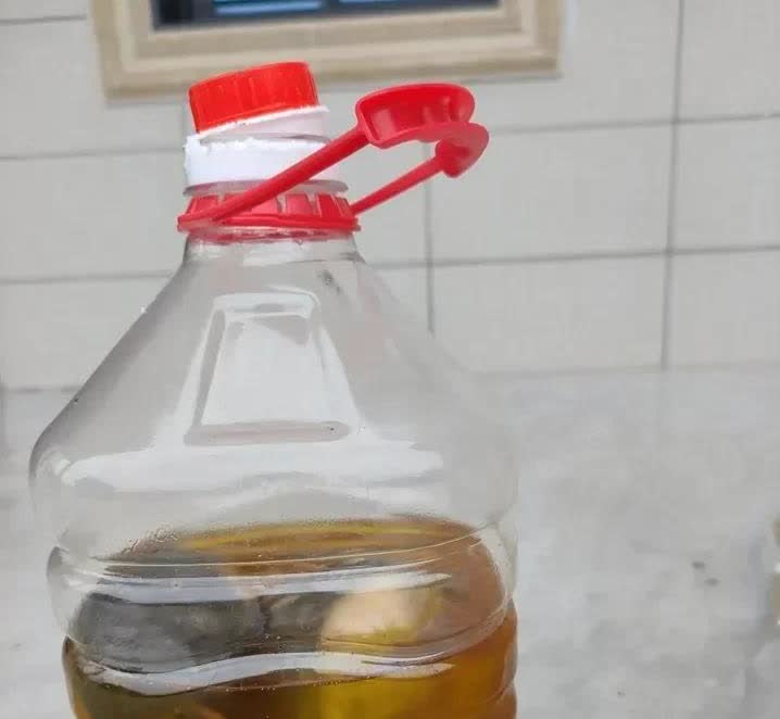 广东，一名女子在整理厨房橱柜里的东西时，意外发现一桶用了没多少的食用油里面，竟然