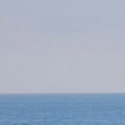 环梦牵0000桑葚的种植方法1. 选地整地：选光照充足、排水良好的沙壤土，深耕