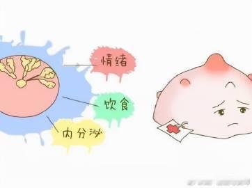 【摸到乳房有肿块，别慌！记得先做这件事】科普大作战女性健康必修课健康知识打卡月