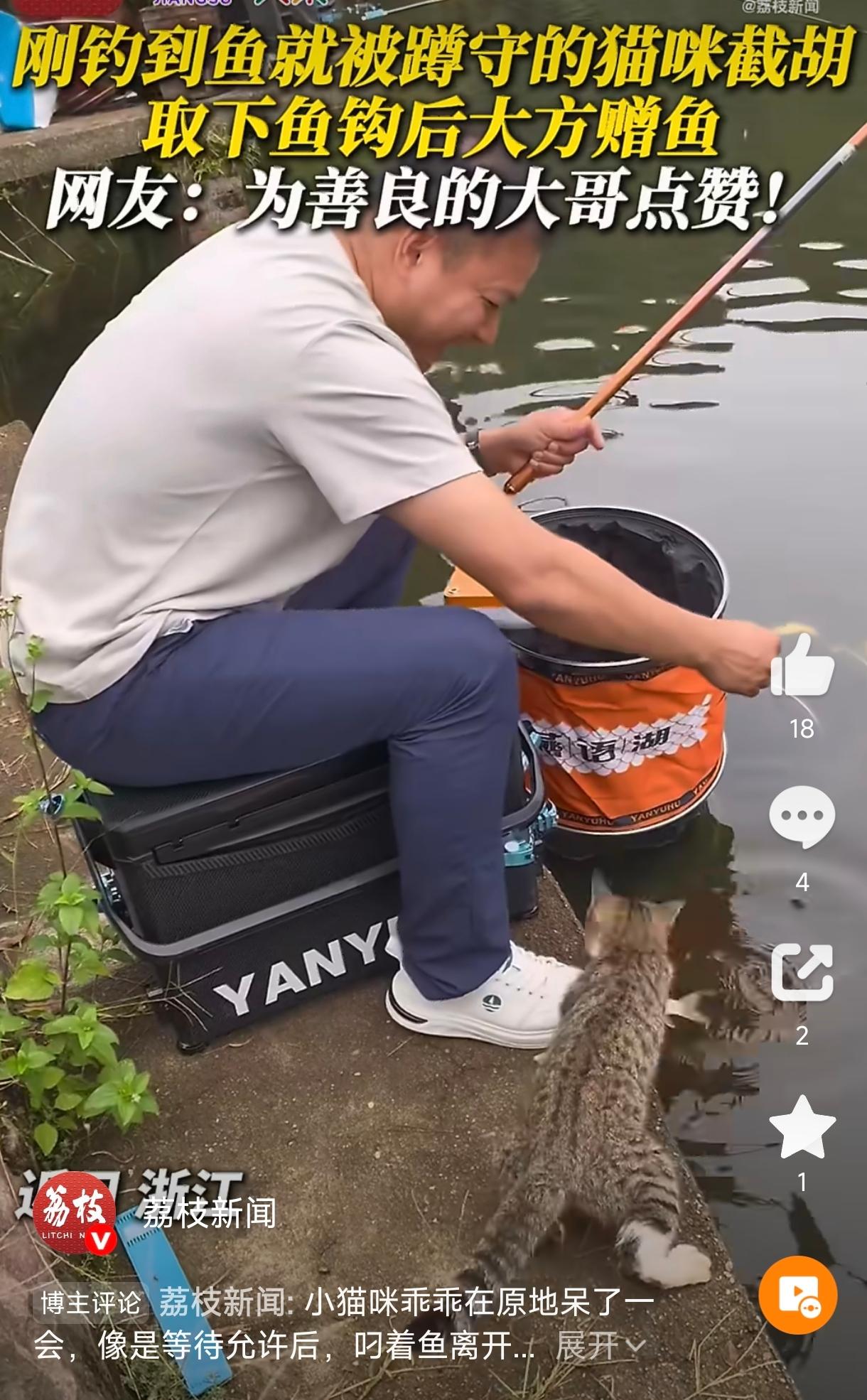 笑不活了！浙江，一男子正坐在河边钓鱼，一只野猫不声不响蹲在他旁边。男子以为它就是