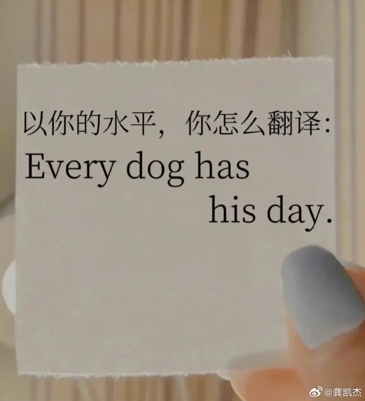 以你的文笔，你会怎么翻译：Everydoghashisday.​​​