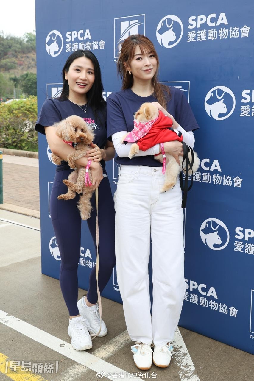 星岛：Coffee爱犬保护囡囡被儿子视为敌人连诗雅教女儿不要乱碰狗狗拜年与L