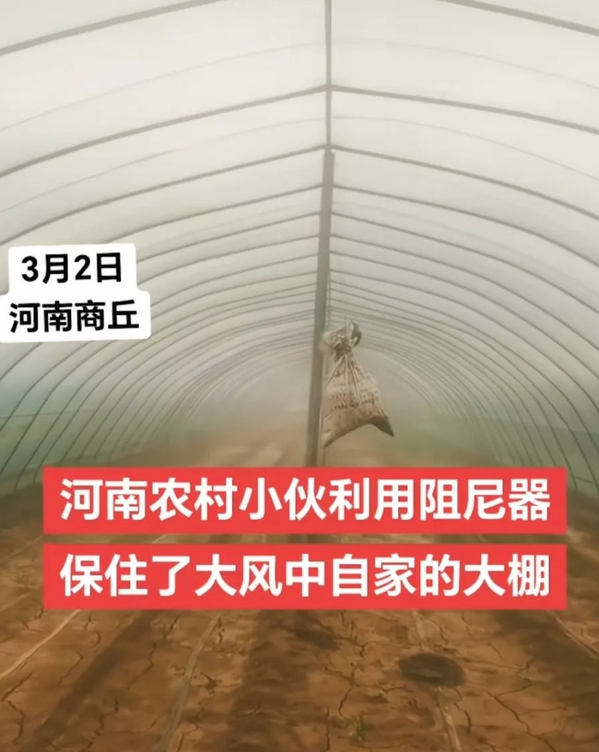 河南农村小伙子利用阻尼器，保住了大风中自家大棚，一看就是之前设计院做结构的本来