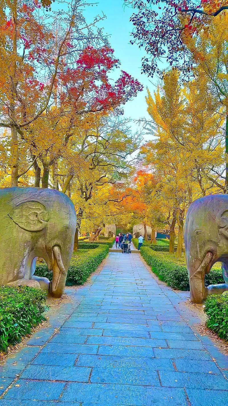 南京钟山风景区收费太多，太贵。南京有吃有喝，文化历史名城，到处都能玩，而且号称
