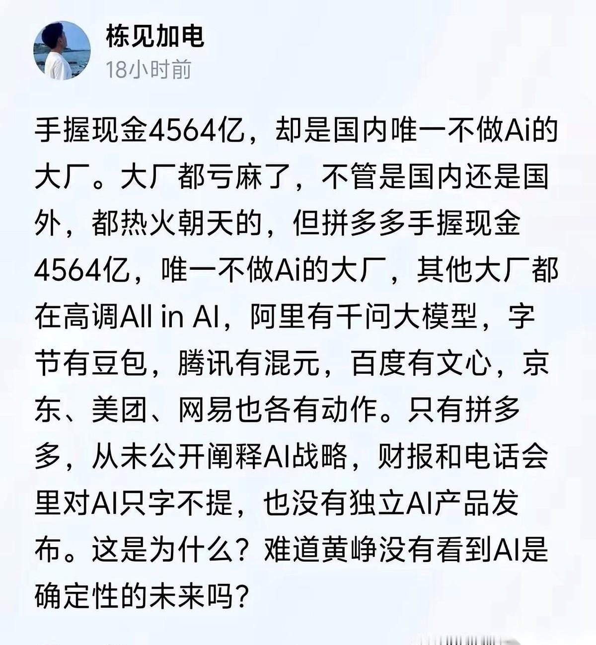 国内几家互联网大厂正在大模型赛道上疯狂砸钱，唯独拼多多连眼皮都没眨一下。别家都在抢着囤算力、买芯片，