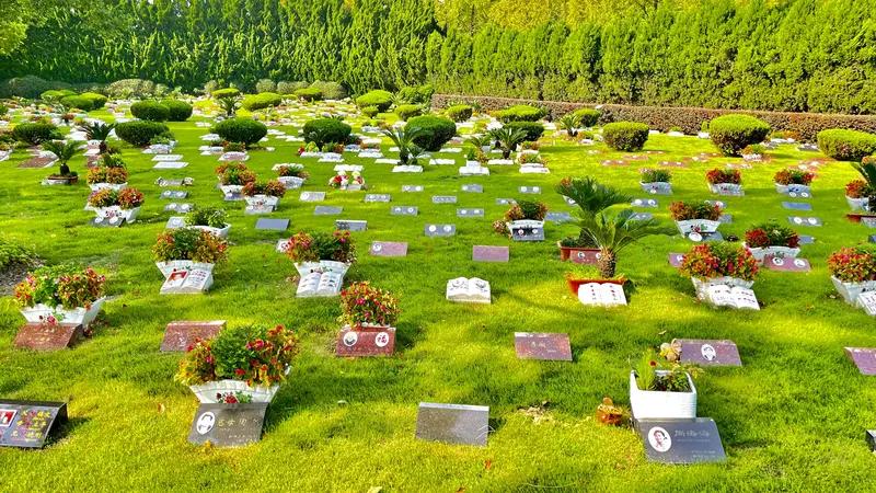 上海又出殡葬新政策了，从2026年开始，只要是本市户籍的逝者，或者是在上海完成火