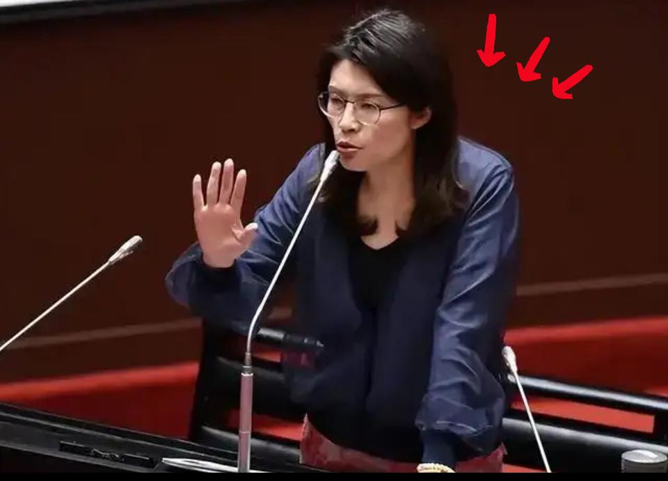 郝龙斌这一万票的差距，算是彻底把国民党的“老路子”判了死刑！30137票对202