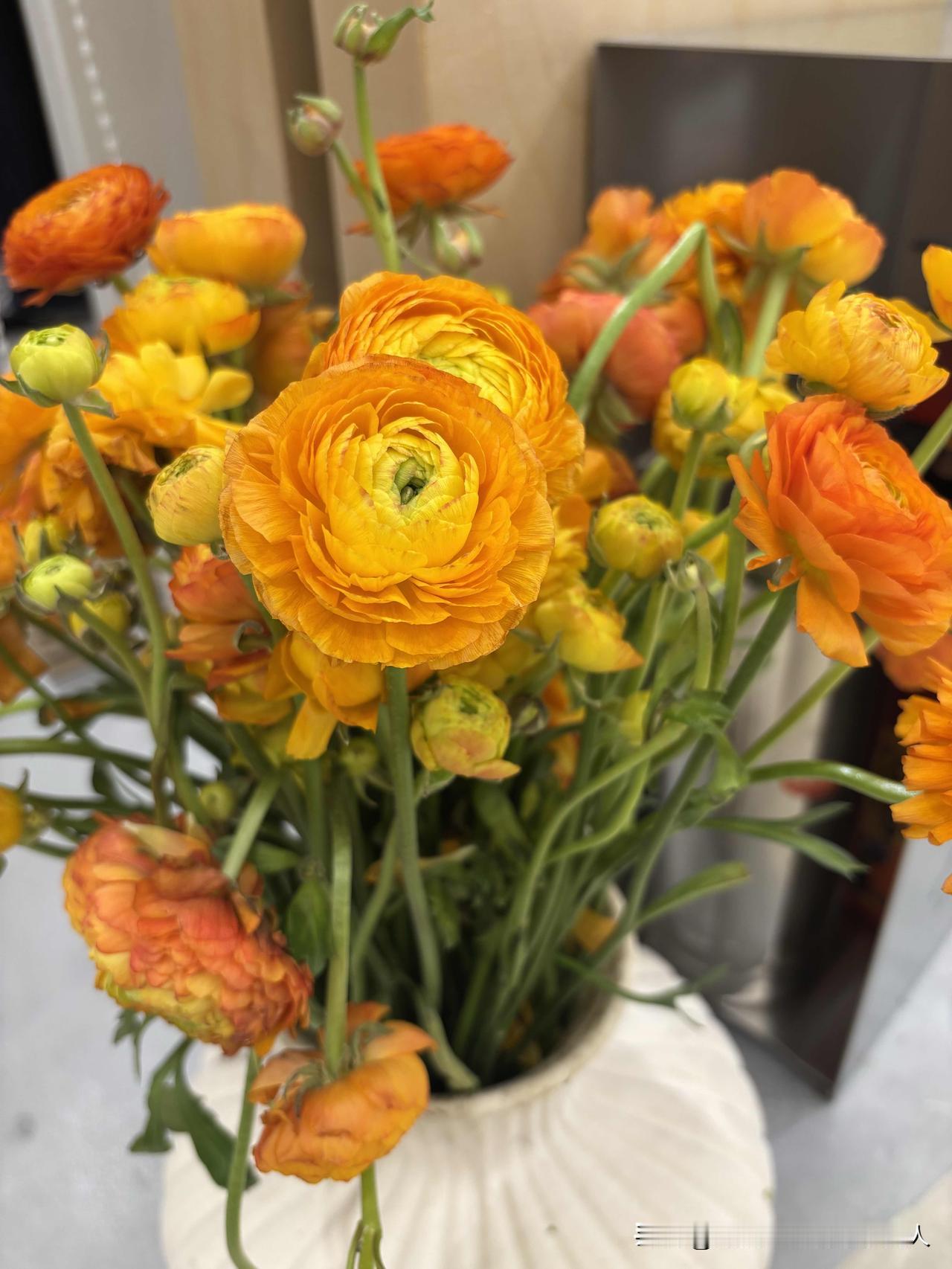 女人离了婚，真的很可怜，没有自己的房子更是可怜。就像我大堂姐，她前几年离婚了