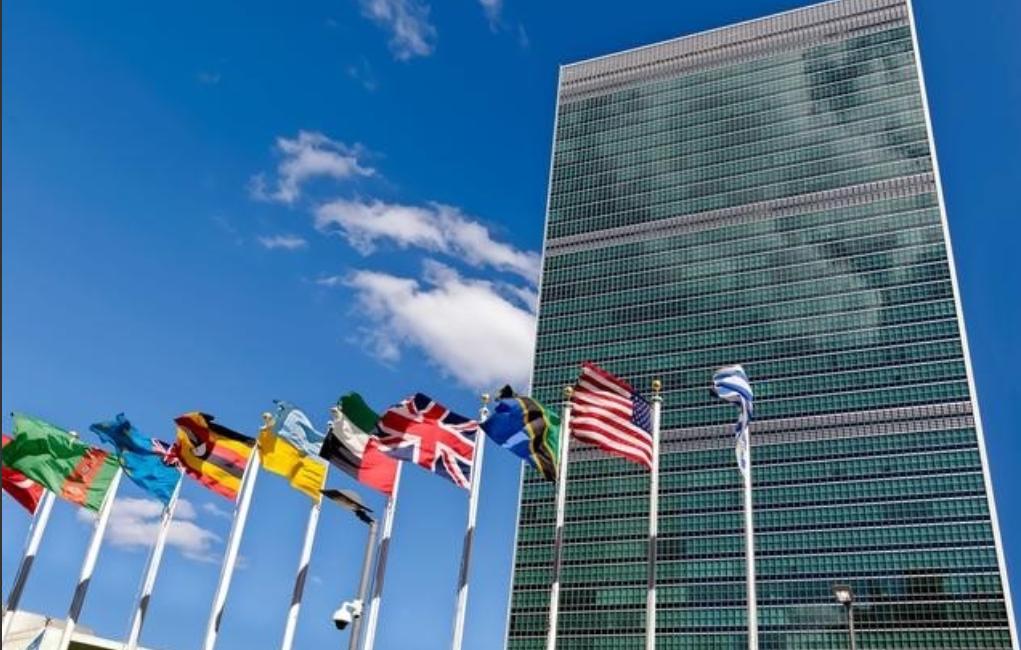 不管东大要求申请联合国什么事情，联合国都不爱搭理，只有向东大要钱的时候才搭理。