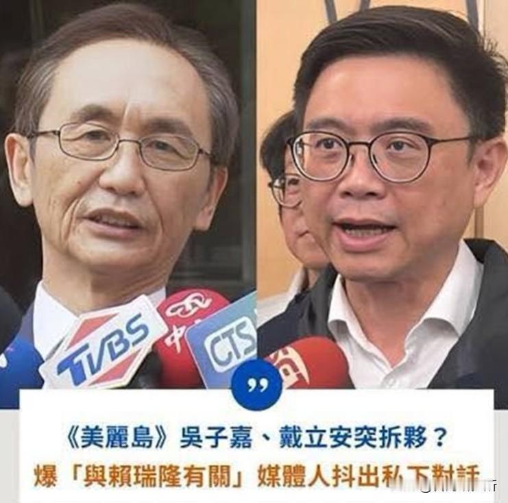 吴子嘉和他背后的专家分手了他的美丽岛电子报民调每个月一次已成为很多人观察
