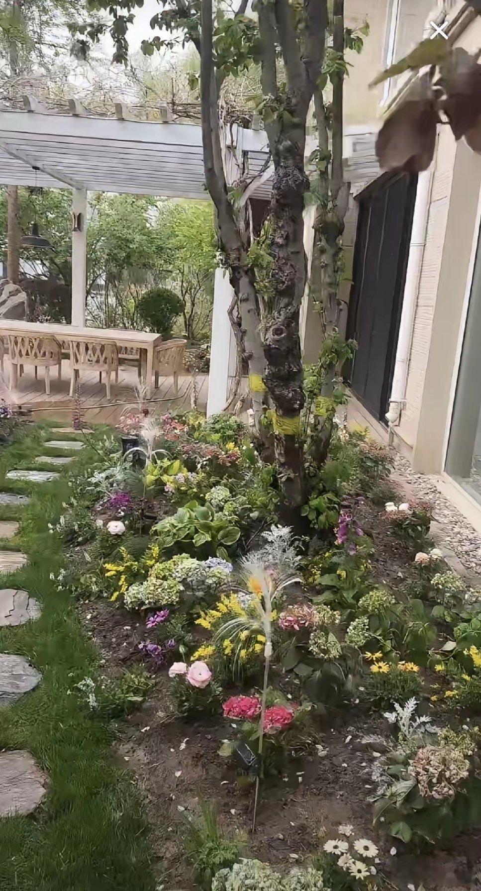 怪不得箖箖和玥儿喜欢在奶奶家住！兰姐家别墅前的小花园可真太好看了！小董开播的时候