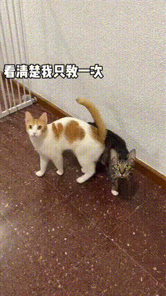 这就是文官和武将的区别！
