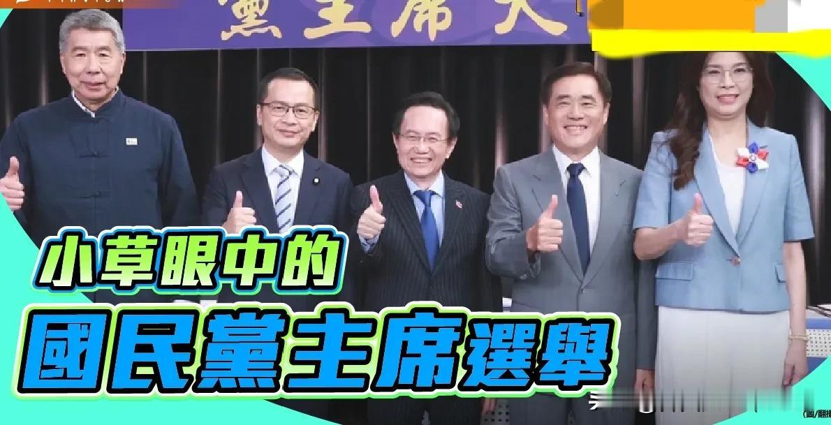 “小草”眼中谁是最合适的国民党主席人选？民众党的粉丝谈国民党主席选举！身边许