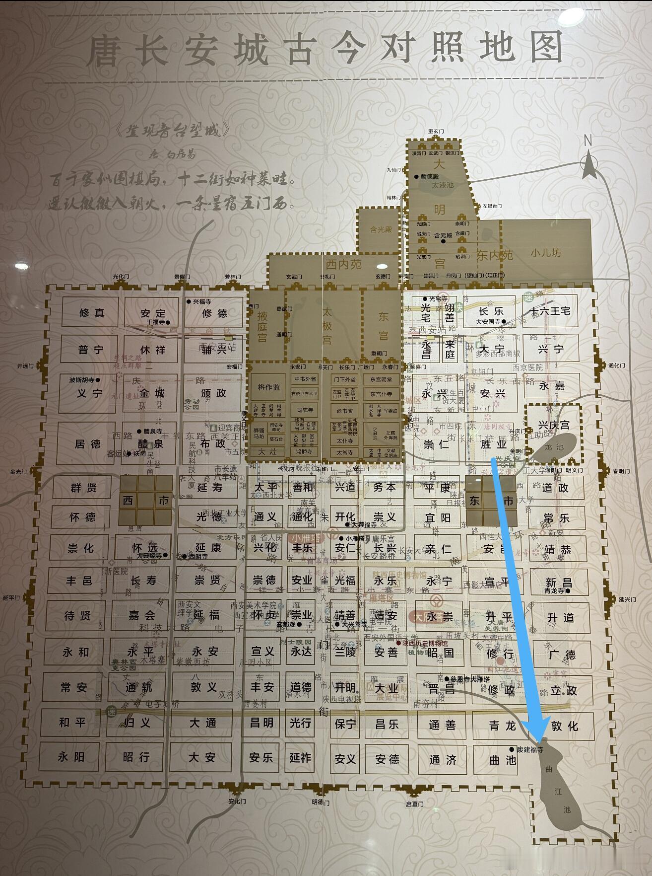 你是说舞阳为了和樱桃🍒、喜君见面要走这么远的路？樱桃‖喜君‖唐朝诡事录‖
