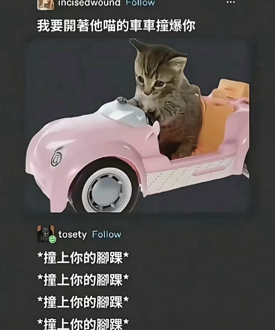 存一些我喜欢的动物meme