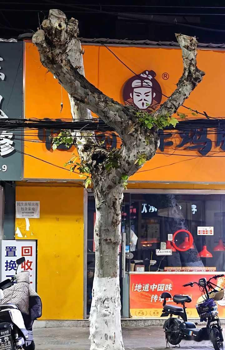 有没有那种一看就可以笑死的图片?评论区见评论区看到的，还穿堆堆袜